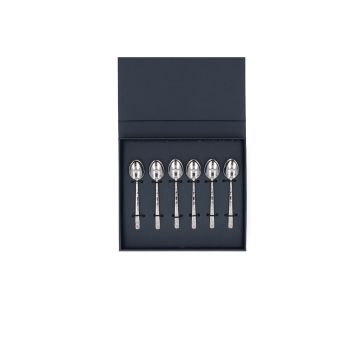 Cuillère à café 6pcs Summer Breeze Boîte cadeau en Acier inoxydable